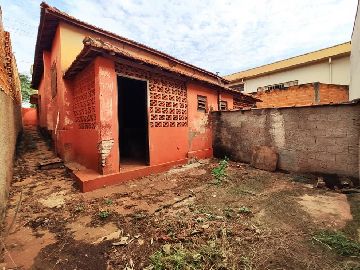 Quintal e Corredor Lateral